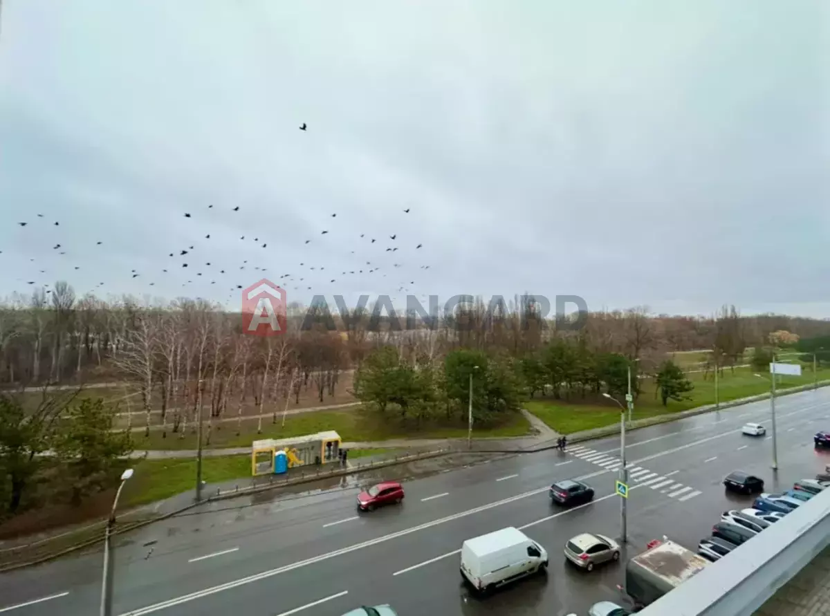 3 ��. ��������, 81/-/- ��. �., 5/9 ������ ���� 5