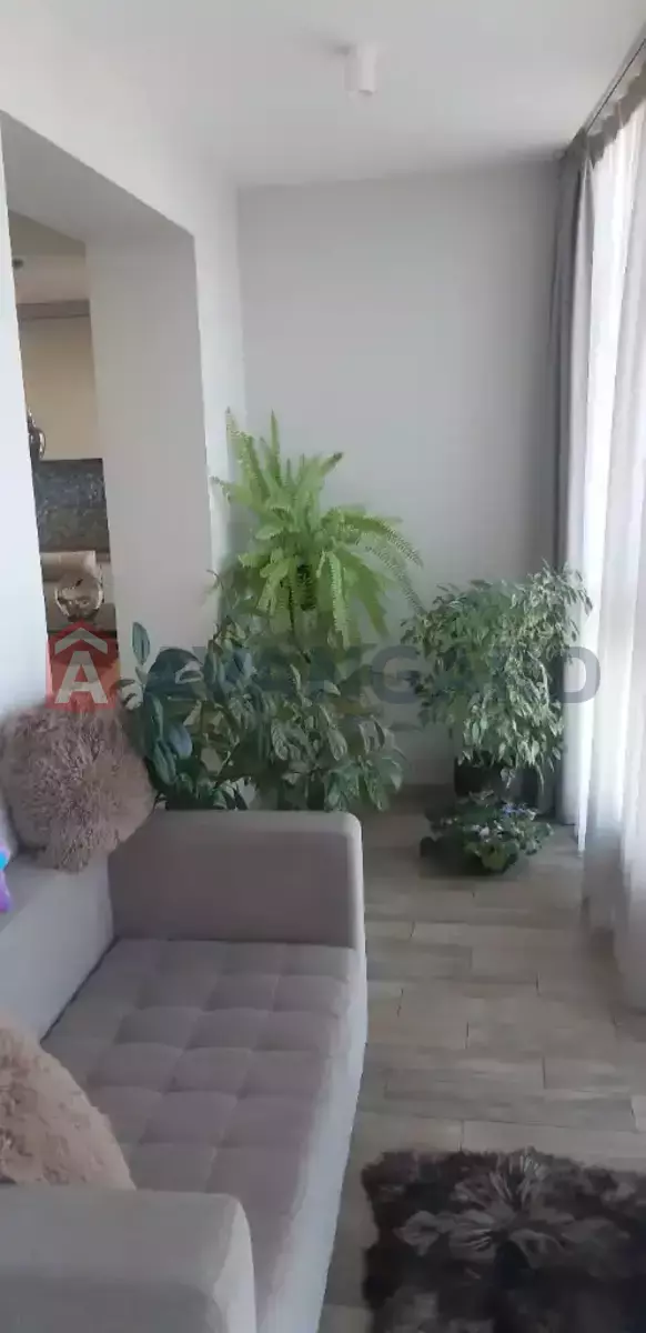 3 . , 82/-/16 . ., 10/12   9