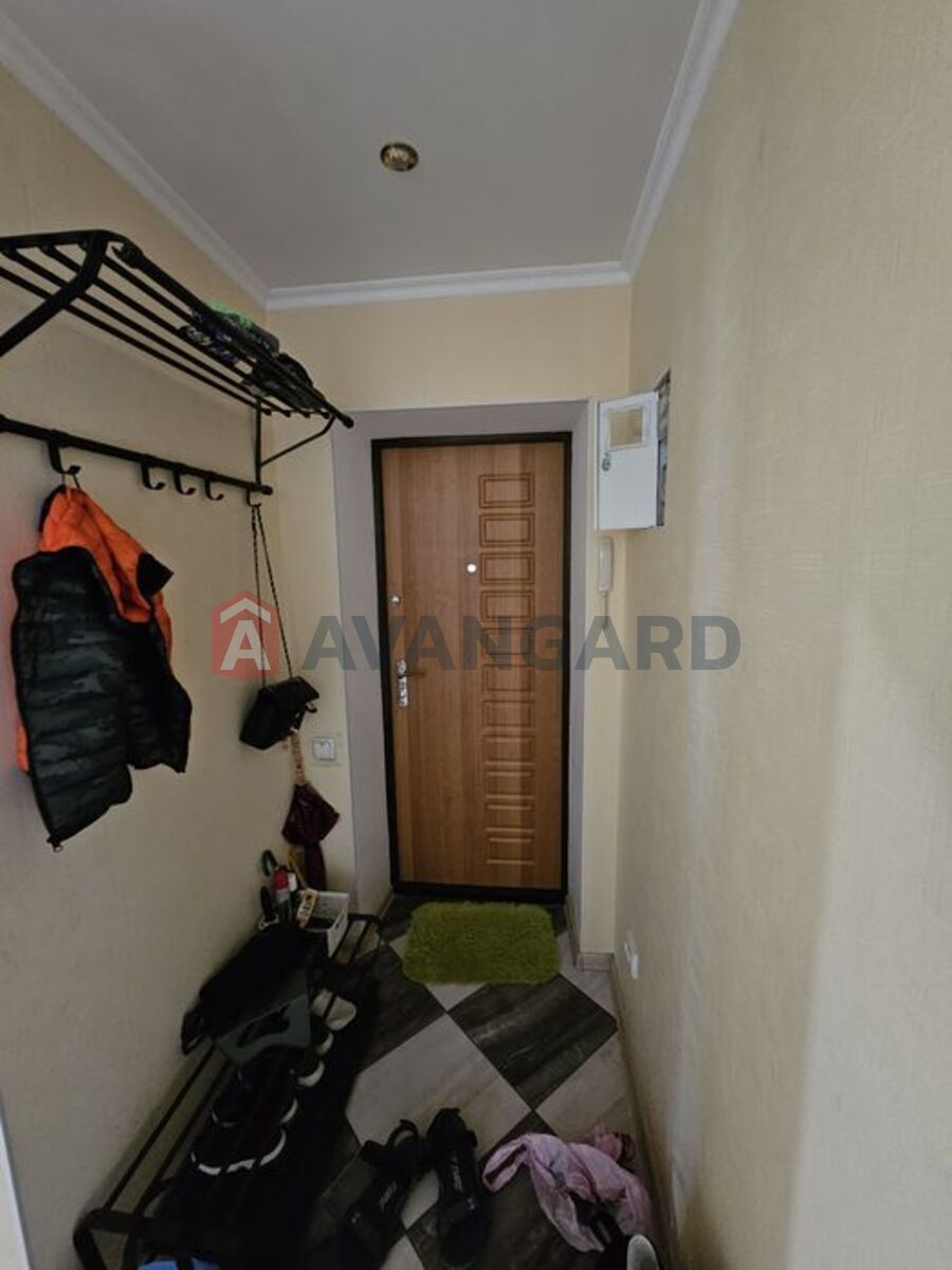 3 . , 65/-/10 . ., 5/5   5