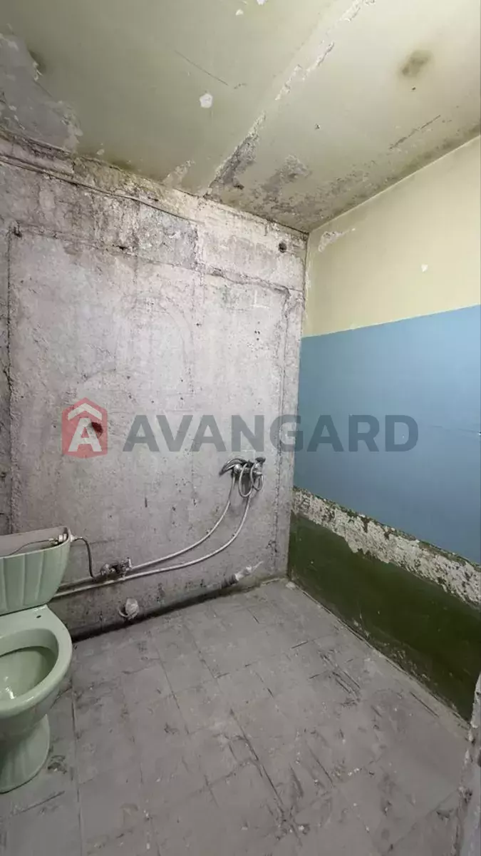 1 ��. ��������, 43/-/7 ��. �., 11/12 ������ ���� 3