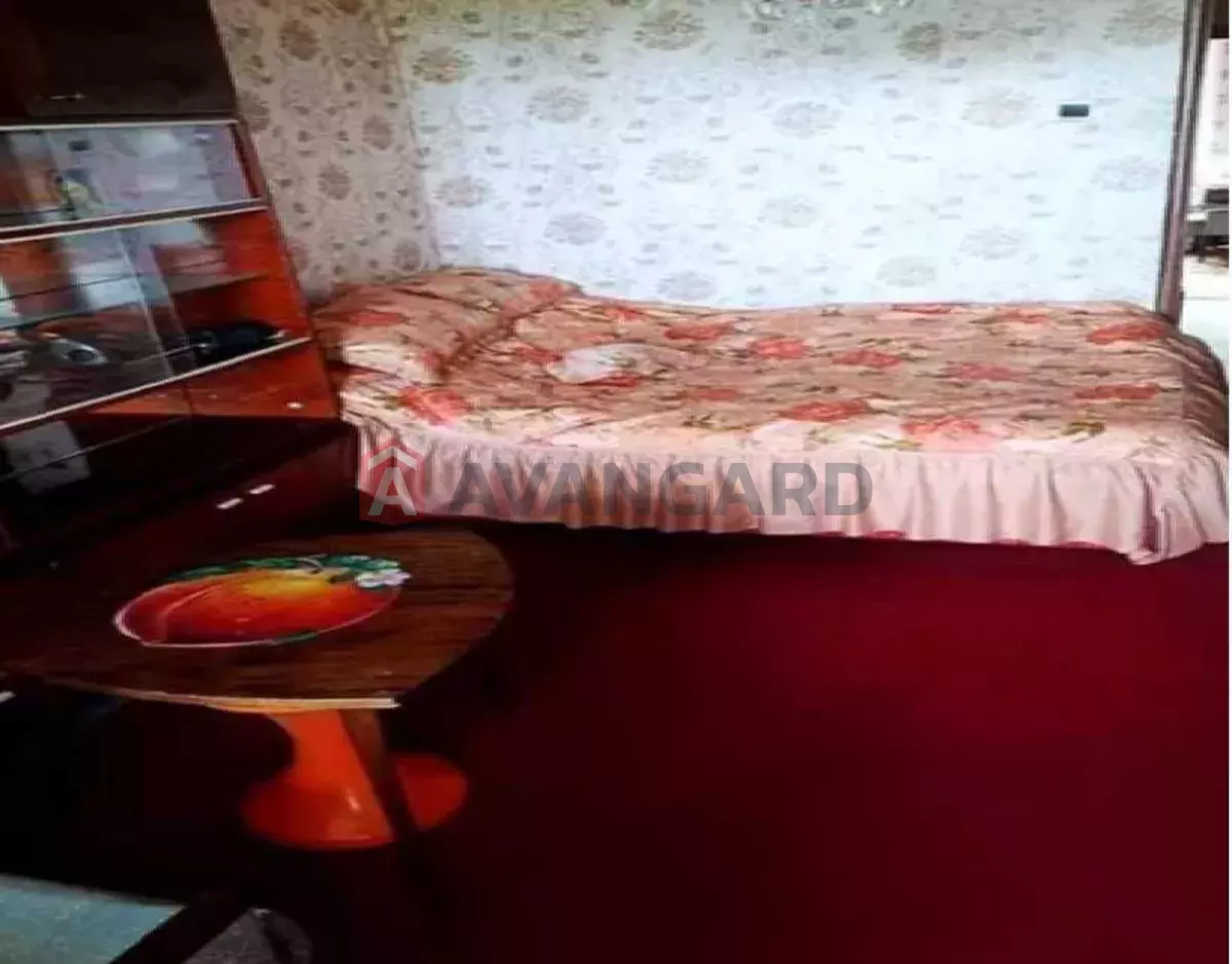 3 ����. ��������, 65/-/8 ��. �., 9/9 ���� ���� 6