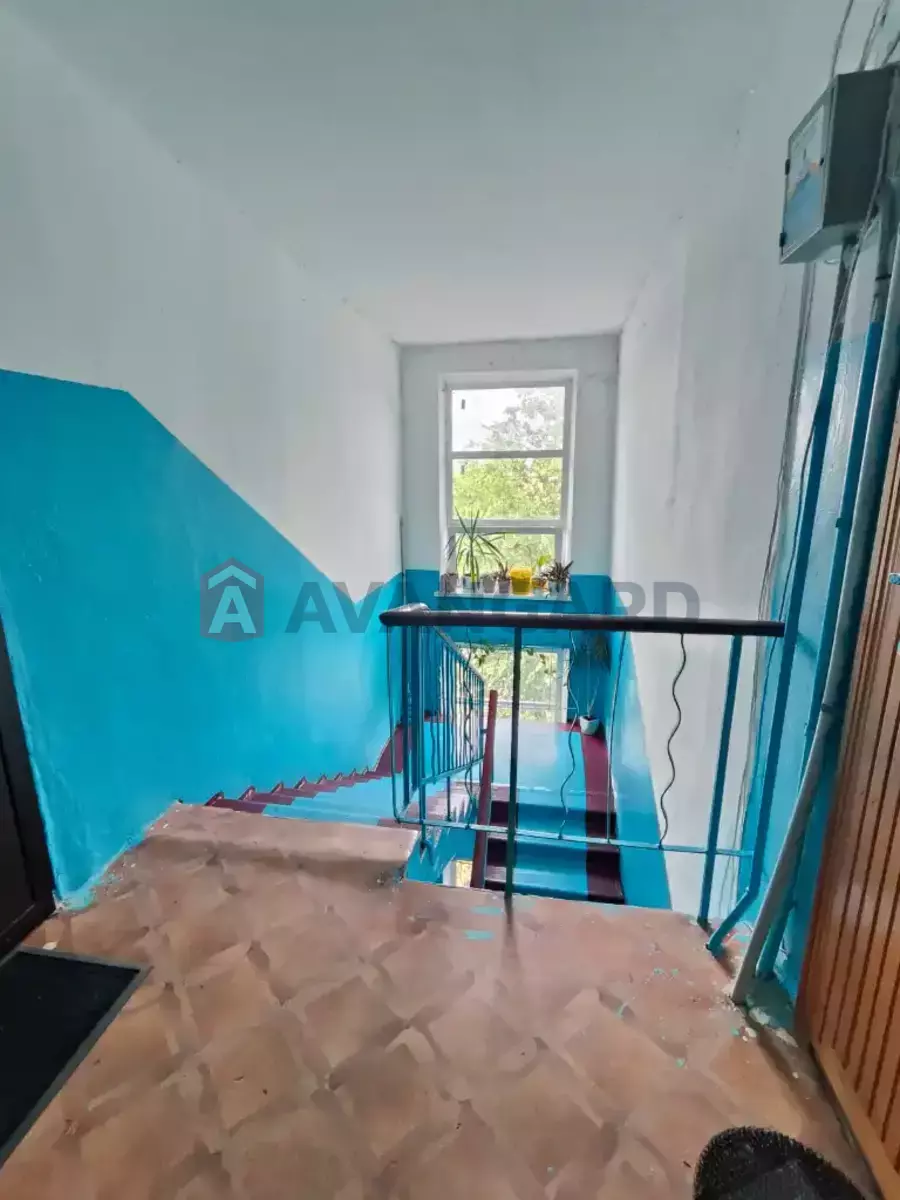3 ��. ��������, 52/-/5 ��. �., 5/5 ������ ���� 22