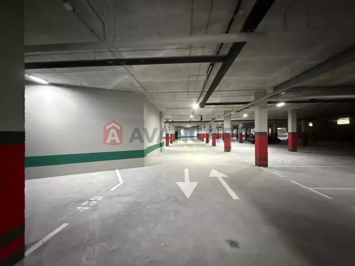 2 . , 51/-/15 . ., 12/36   18