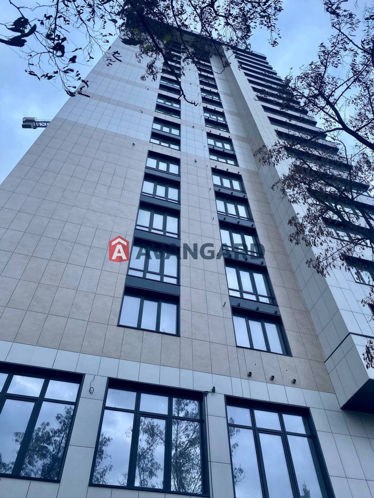 3 ����. ��������, 81/-/- ��. �., 7/23 ���� ���� 4