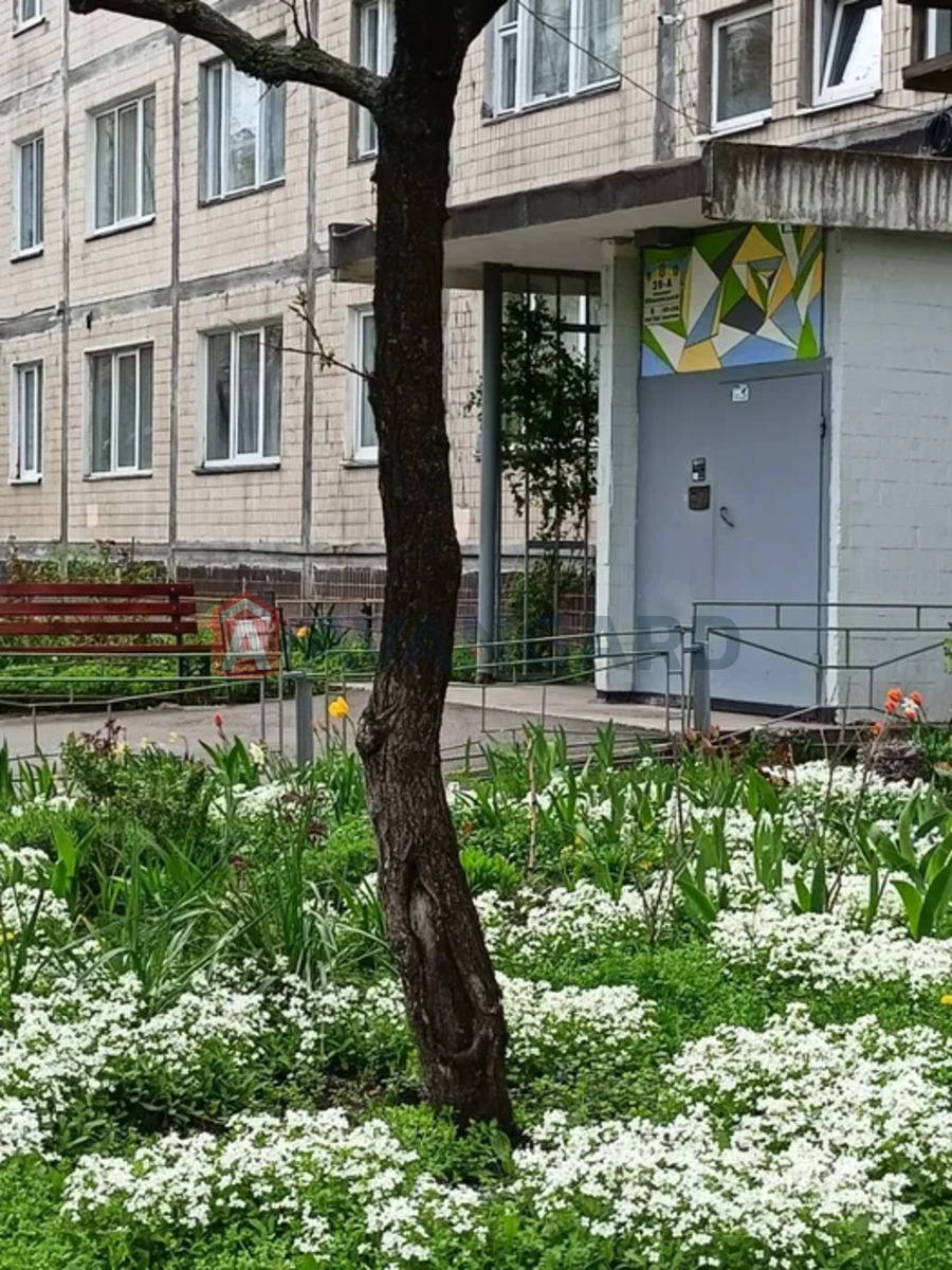 3 ��. ��������, 65/-/8 ��. �., 6/9 ������ ���� 10