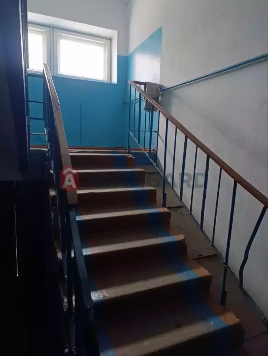 2 ��. ��������, 50/36/7 ��. �., 2/5 ������ ���� 17