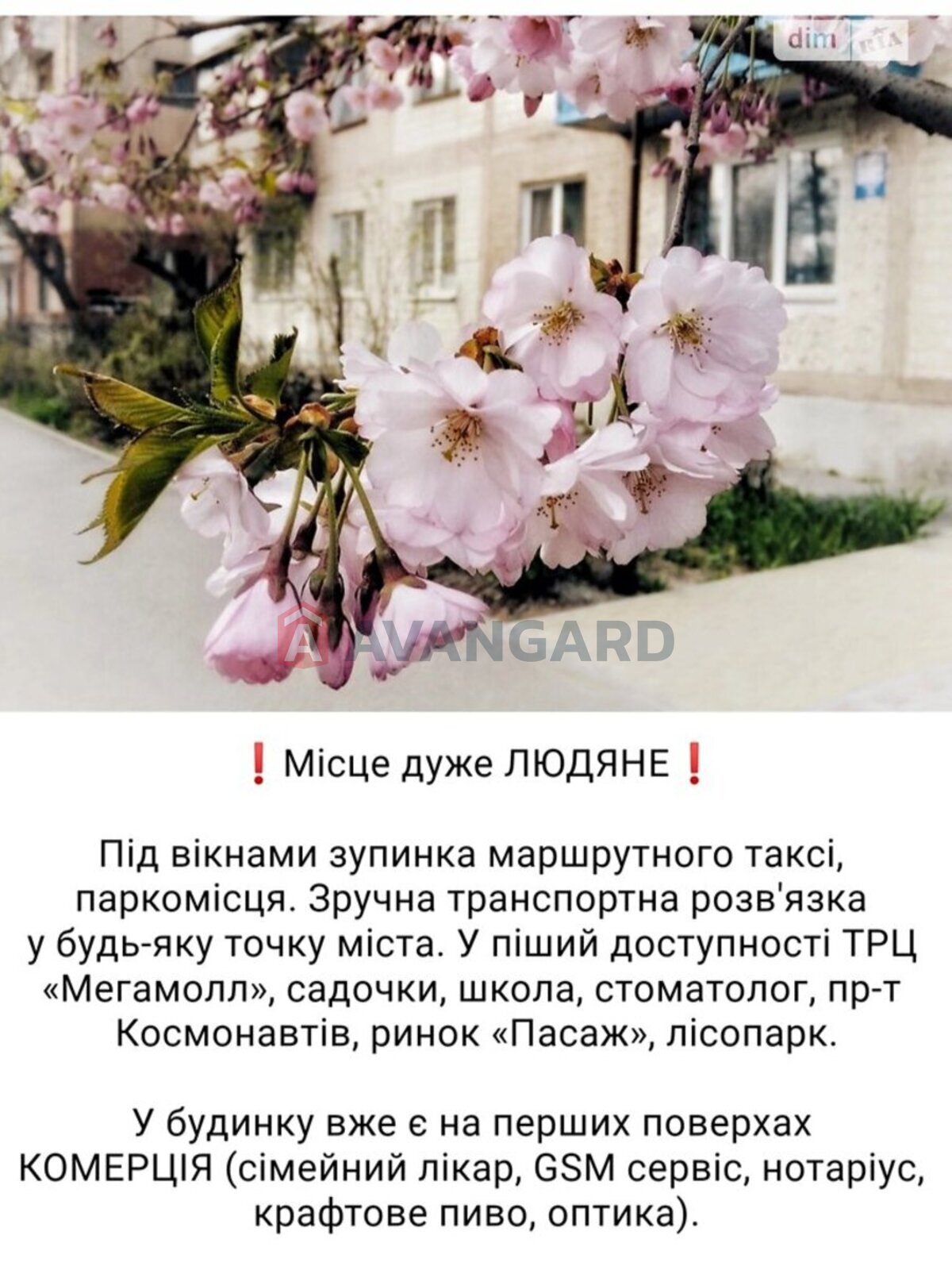 2 ��. ��������, 41/-/6 ��. �., 1/5 ������ ���� 2
