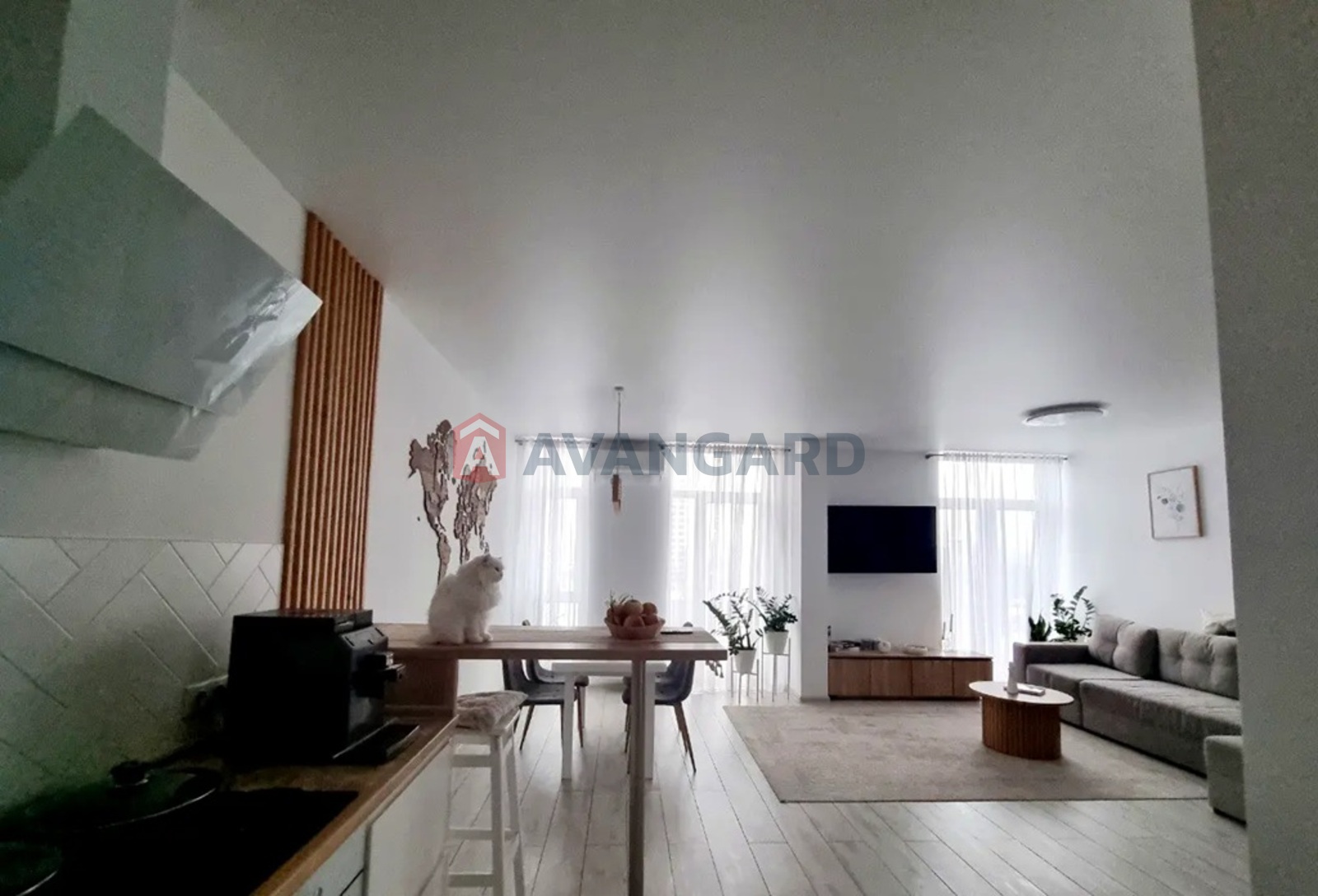 3 ����. ��������, 81/23/36 ��. �., 9/9 ���� ���� 3