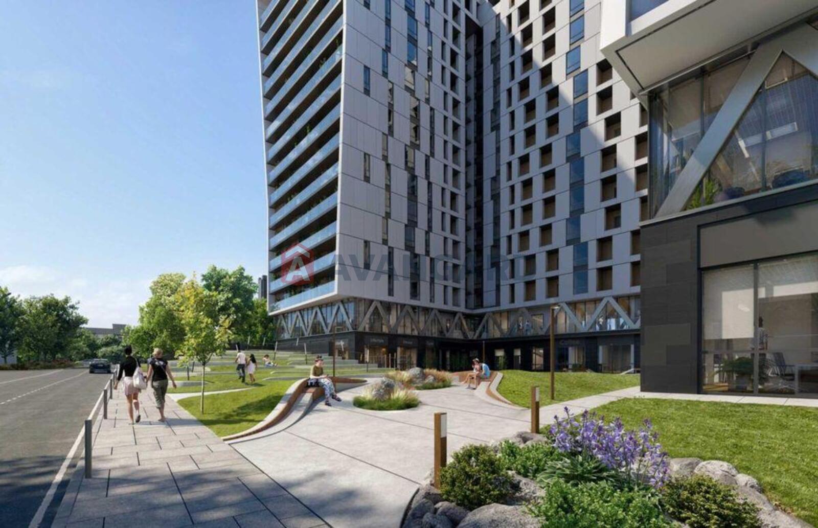 1 ��. ��������, 46/-/19 ��. �., 12/15 ������ ���� 2