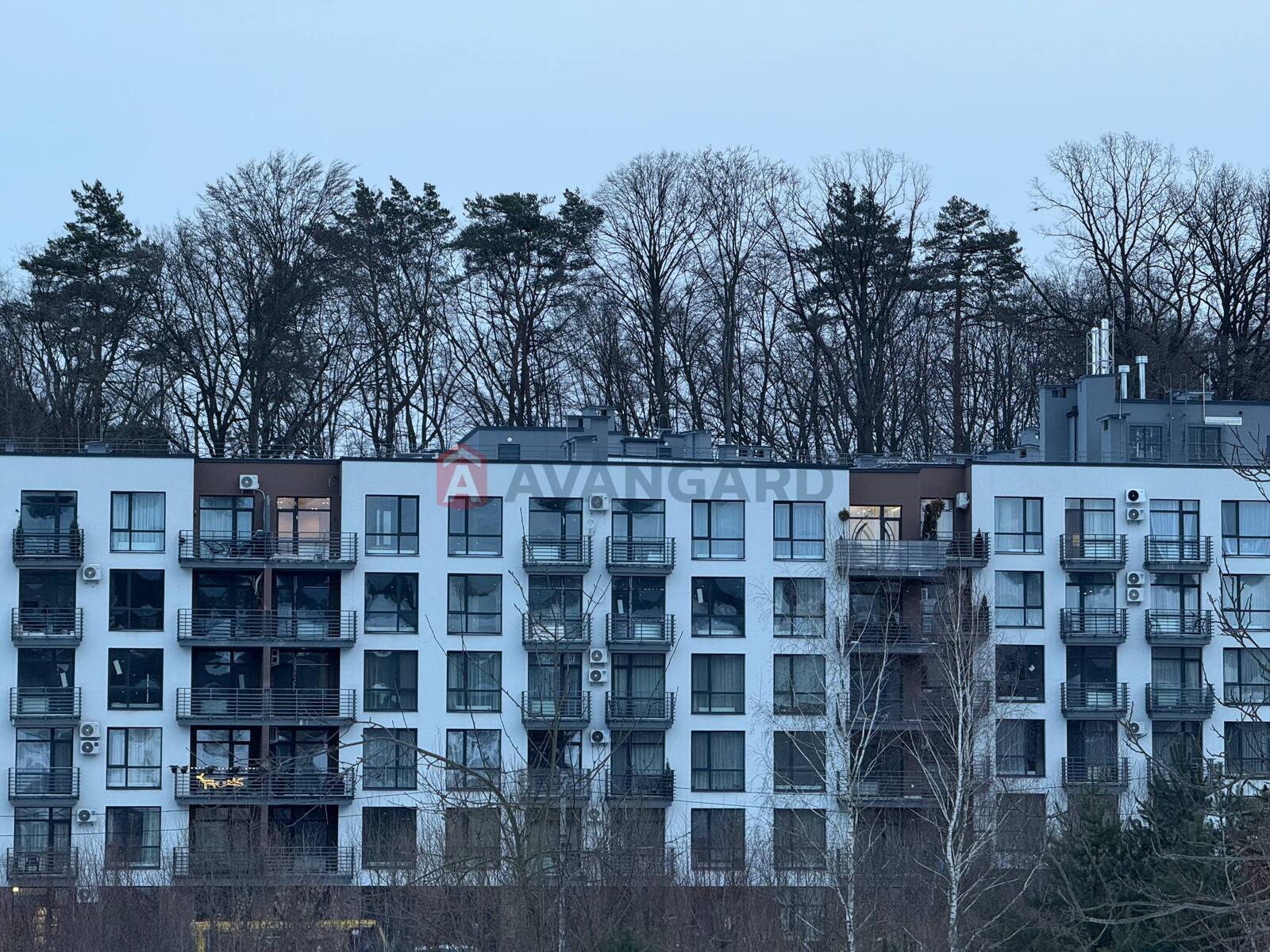 3 ��. ��������, 76.3/42.2/15.4 ��. �., 2/5 ������ ���� 1