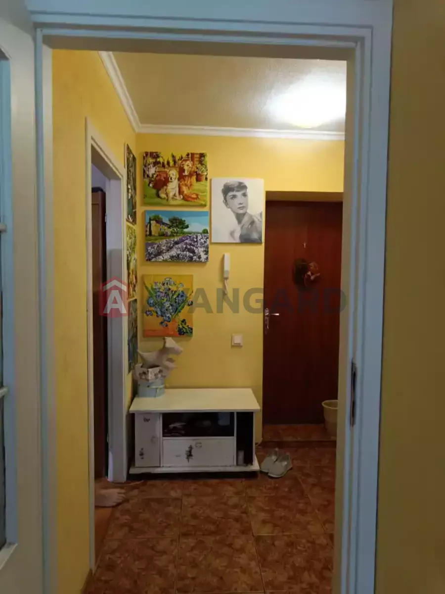 1 ����. ��������, 34/17/7 ��. �., 5/5 ���� ���� 12