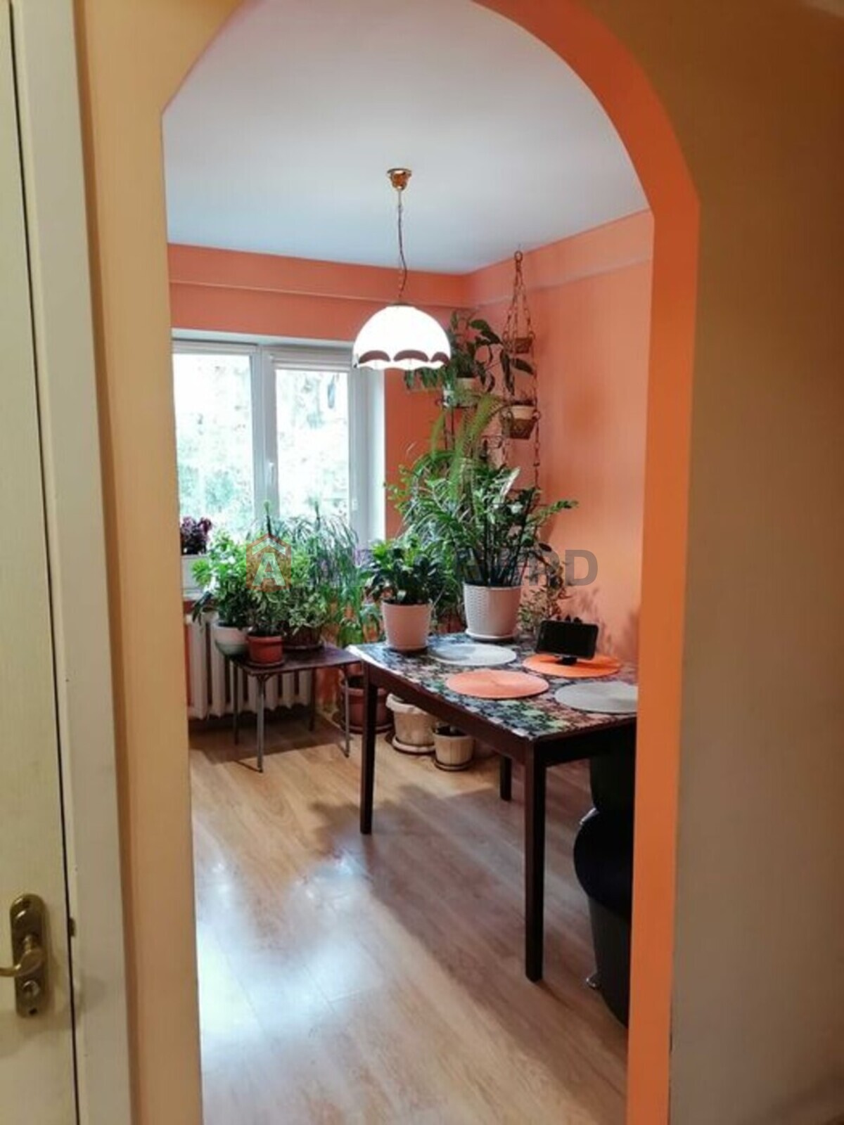 3 ����. ��������, 66/-/14 ��. �., 2/5 ���� ���� 10