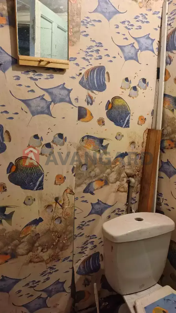 1 ����. ��������, 29/-/- ��. �., 2/2 ���� ���� 5