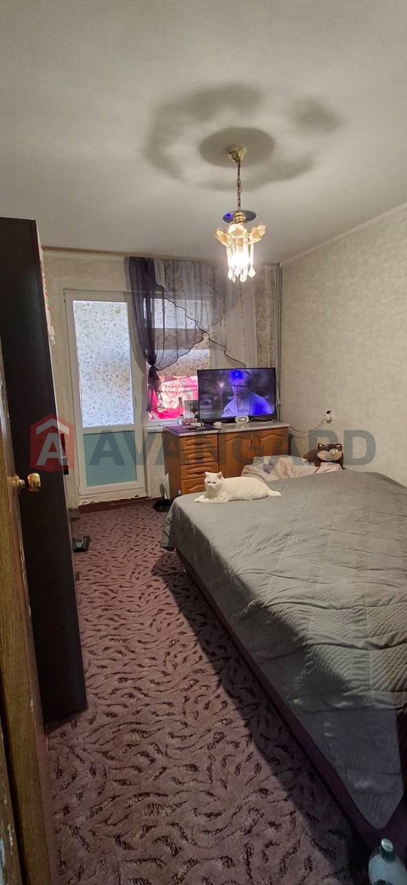 3 ��. ��������, 65/-/8 ��. �., 3/10 ������ ���� 2