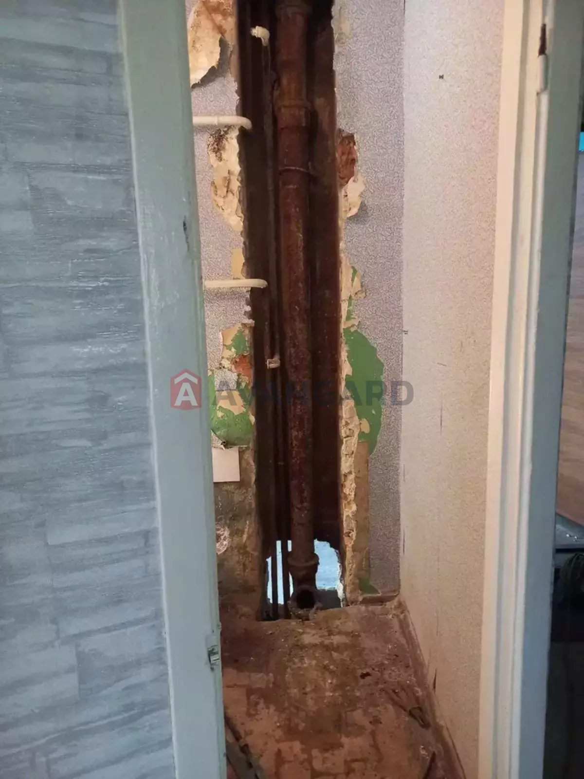 2 ��. ��������, 43/-/6 ��. �., 3/5 ������ ���� 5