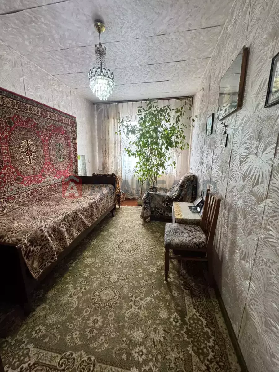 3 ��. ��������, 59/44/6 ��. �., 5/5 ������ ���� 10