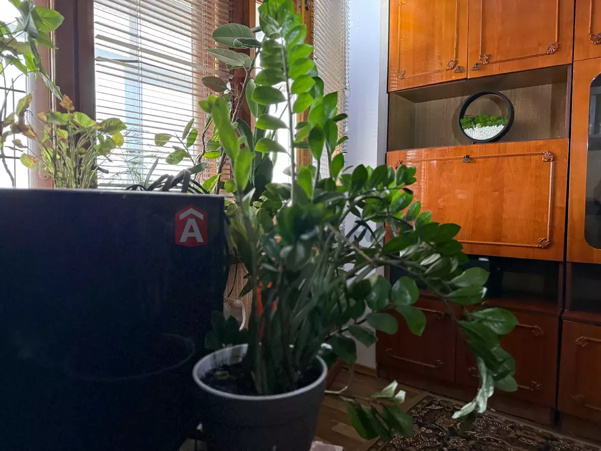 1 ��. ��������, 35/18/7 ��. �., 5/5 ������ ���� 1