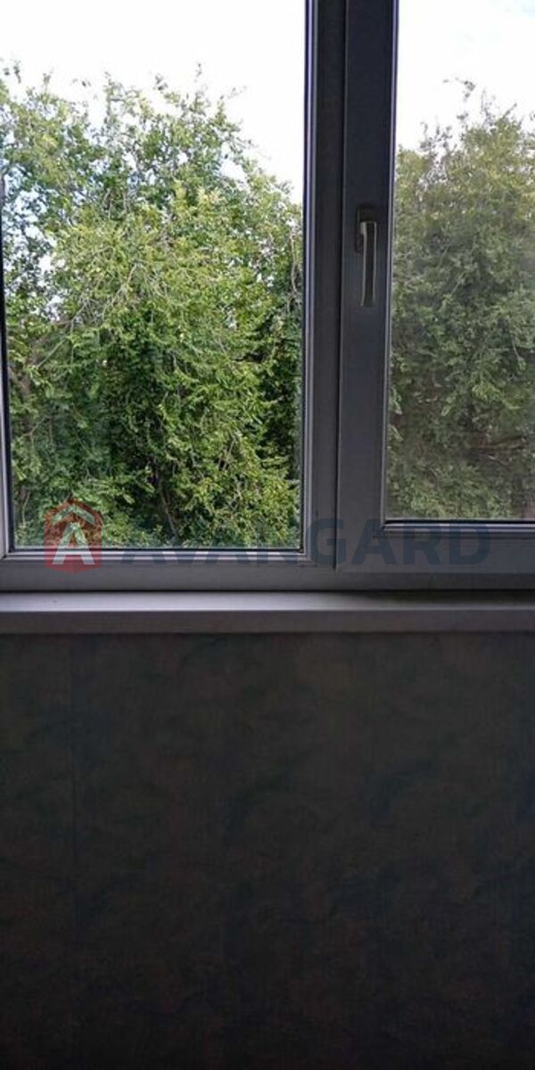 2 ����. ��������, 46/29/12 ��. �., 5/5 ���� ���� 23