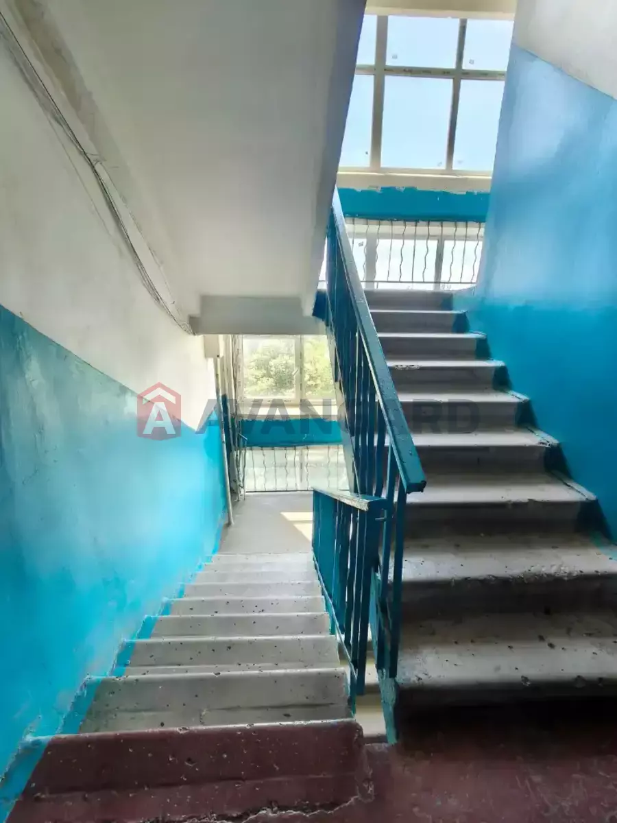 3 ��. ��������, 68/45/8 ��. �., 8/9 ������ ���� 20