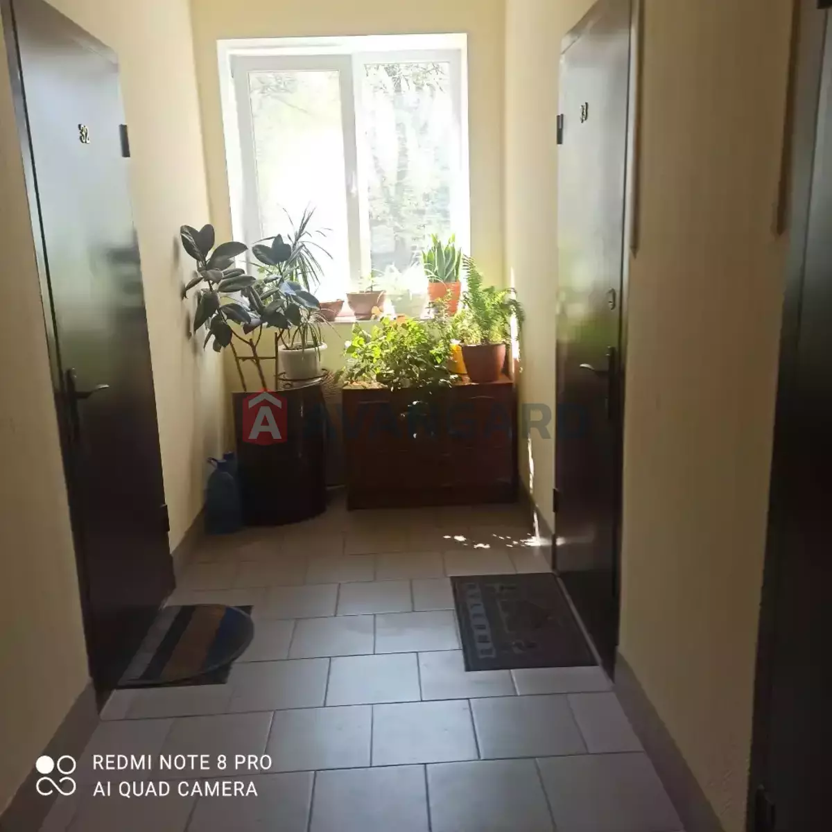 1 ����. ��������, 23/14/5 ��. �., 1/4 ���� ���� 5