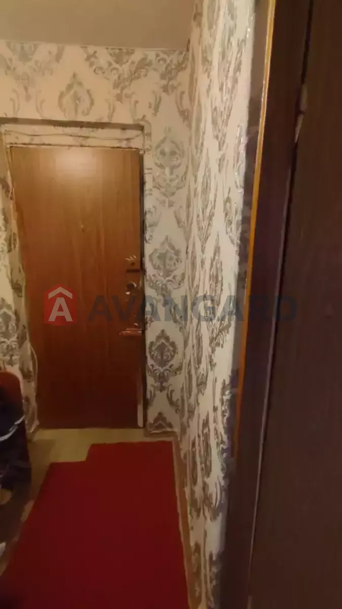 3 ��. ��������, 58/43/6 ��. �., 5/5 ������ ���� 17