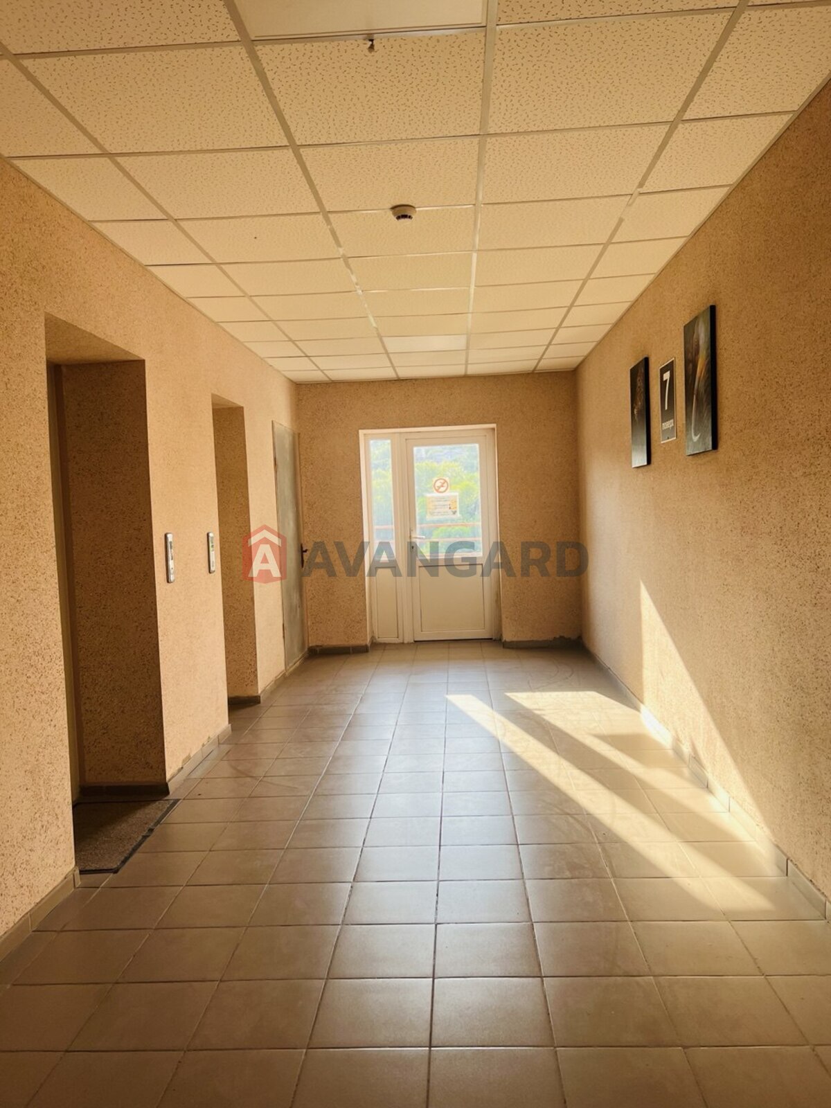 3 ��. ��������, 70,5/30/25 ��. �., 7/16 ������ ���� 5