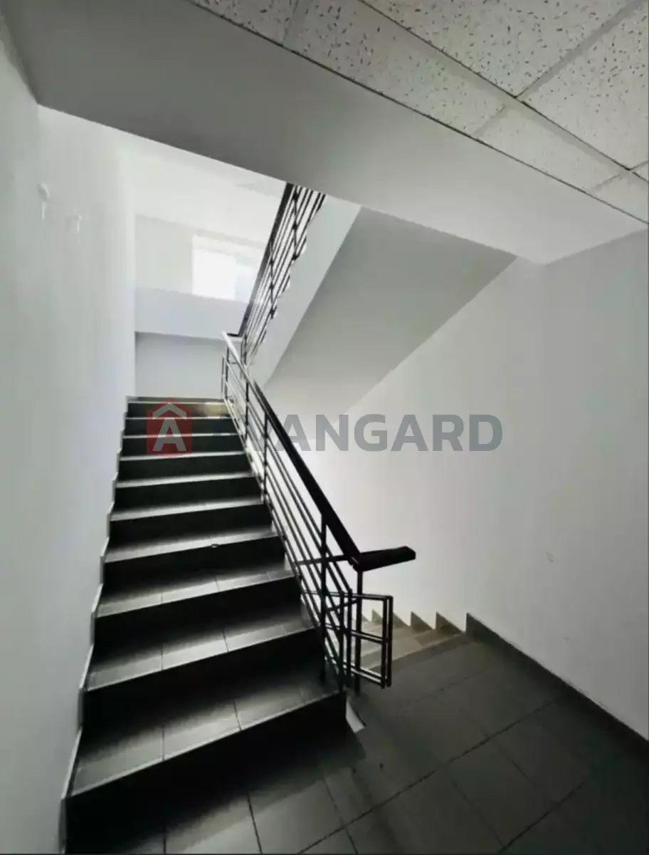 3 ��. ��������, 150/-/- ��. �., 3/10 ������ ���� 11