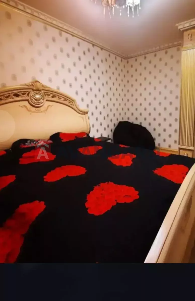 3 ��. ��������, 60/-/17 ��. �., 1/5 ������ ���� 3
