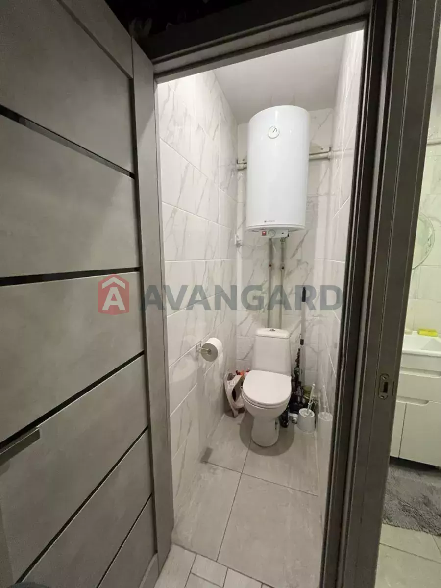 3 ����. ��������, 49/-/4 ��. �., 1/5 ���� ���� 5