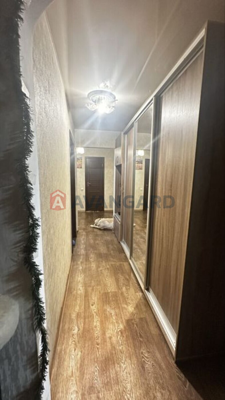 3 ��. ��������, 68/-/9 ��. �., 8/9 ������ ���� 3