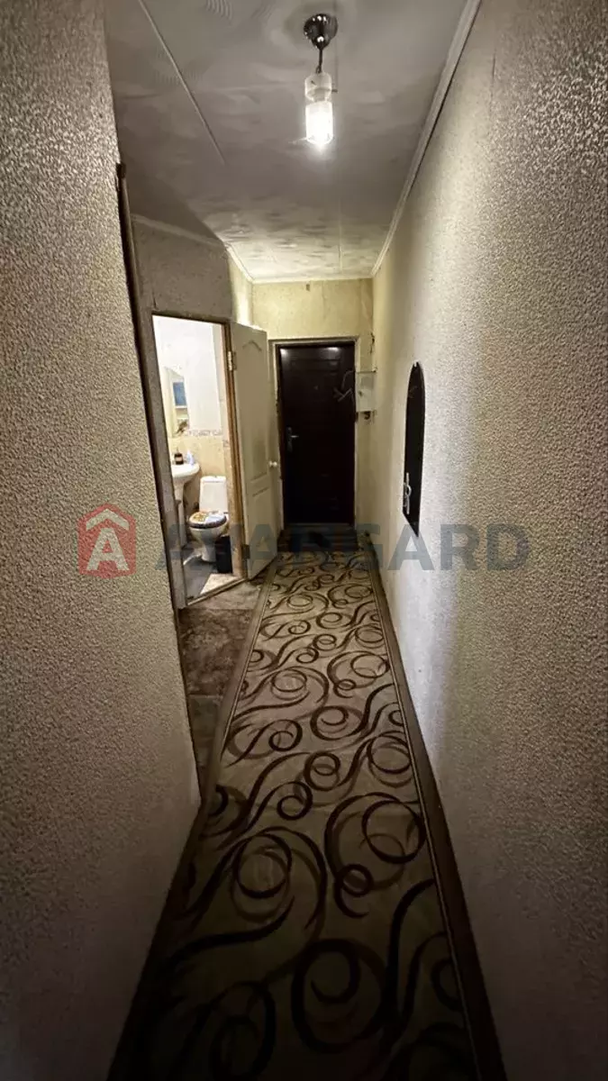 2 ����. ��������, 41/-/6 ��. �., 3/3 ���� ���� 9