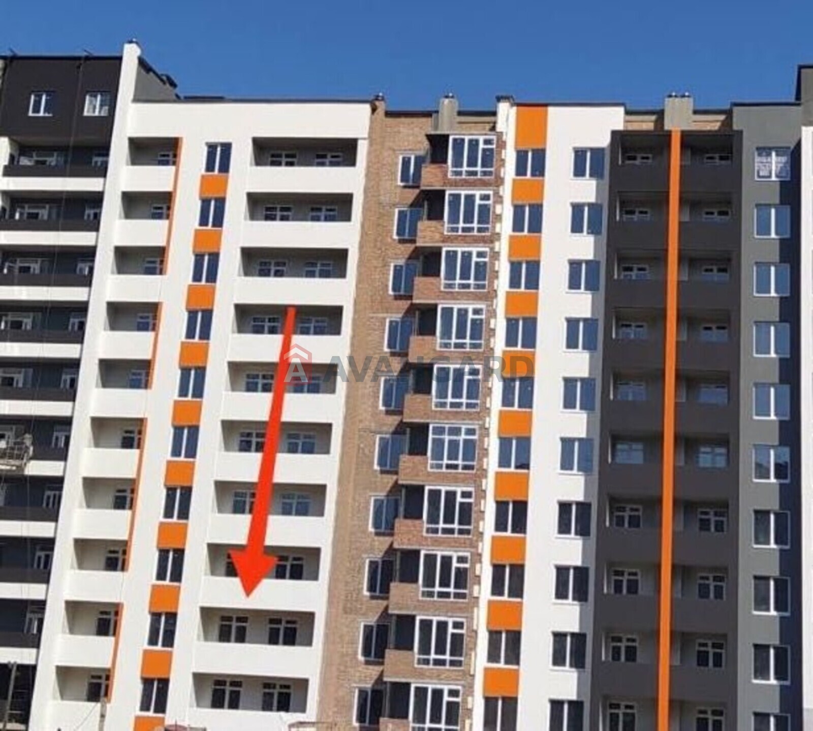 1 . , 48/-/17 . ., 2/10   2