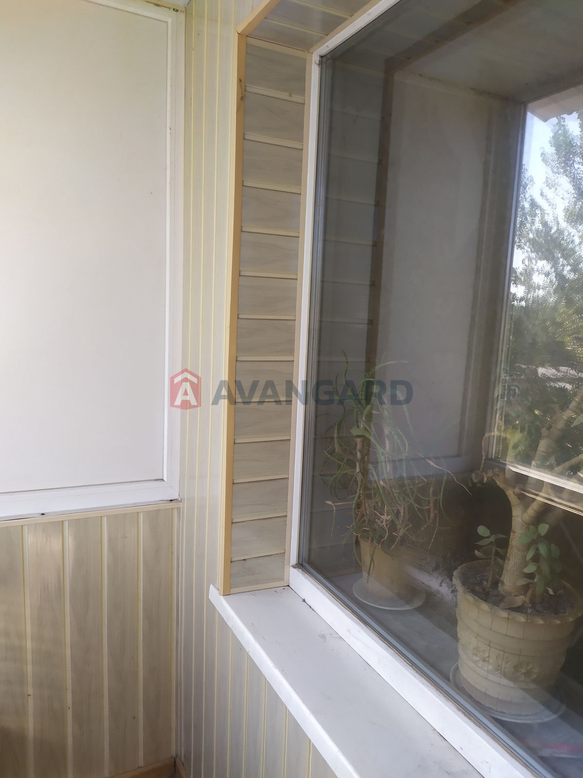 3 ��. ��������, 63/48/6 ��. �., 5/5 ������ ���� 3