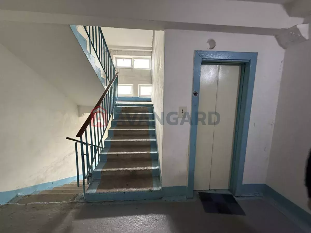 5 ��. ��������, 106/-/15 ��. �., 8/10 ������ ���� 5