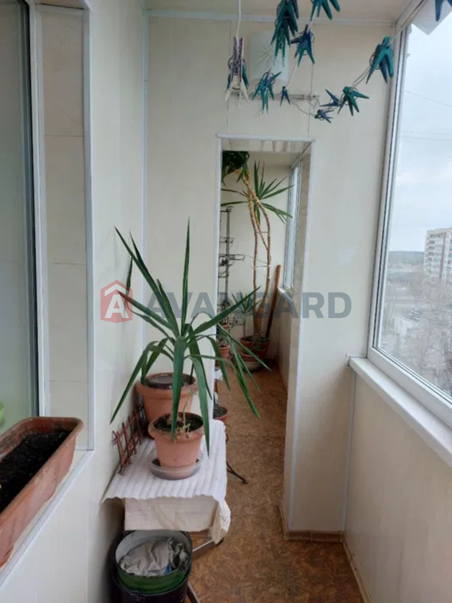 2 ����. ��������, 53/-/8 ��. �., 8/10 ���� ���� 2