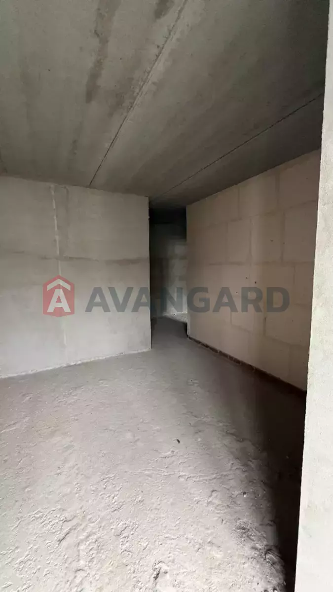 3 ����. ��������, 68/-/- ��. �., 8/10 ���� ���� 8