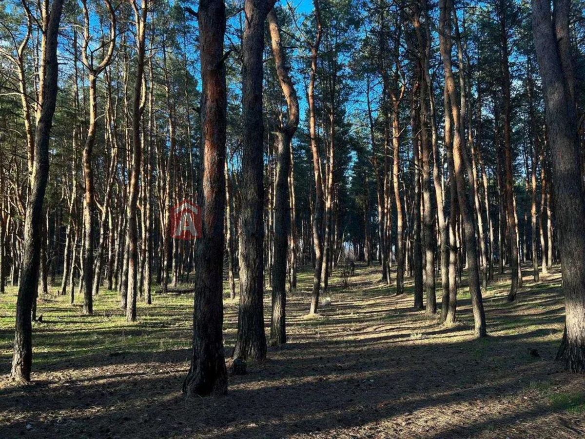 3 ����. ��������, 77/-/15 ��. �., 12/14 ���� ���� 12