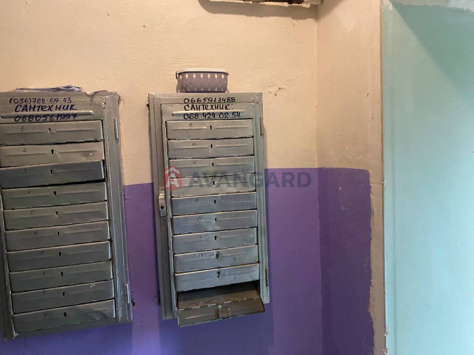 2 . , 43.5/28/5.5 . ., 3/5   12