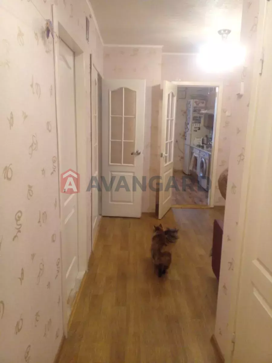 3 ��. ��������, 82/-/9 ��. �., 16/17 ������ ���� 2