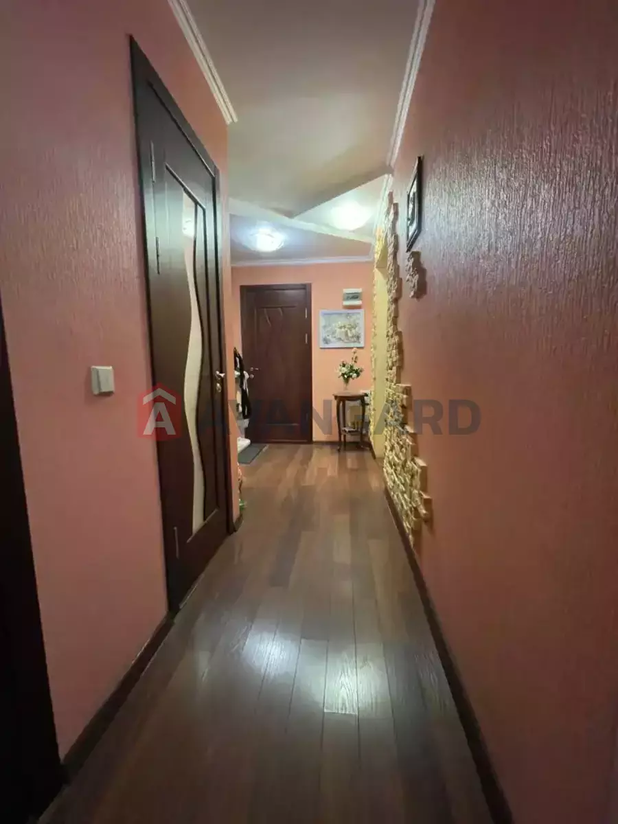 3 ����. ��������, 70/41/8 ��. �., 11/16 ���� ���� 20