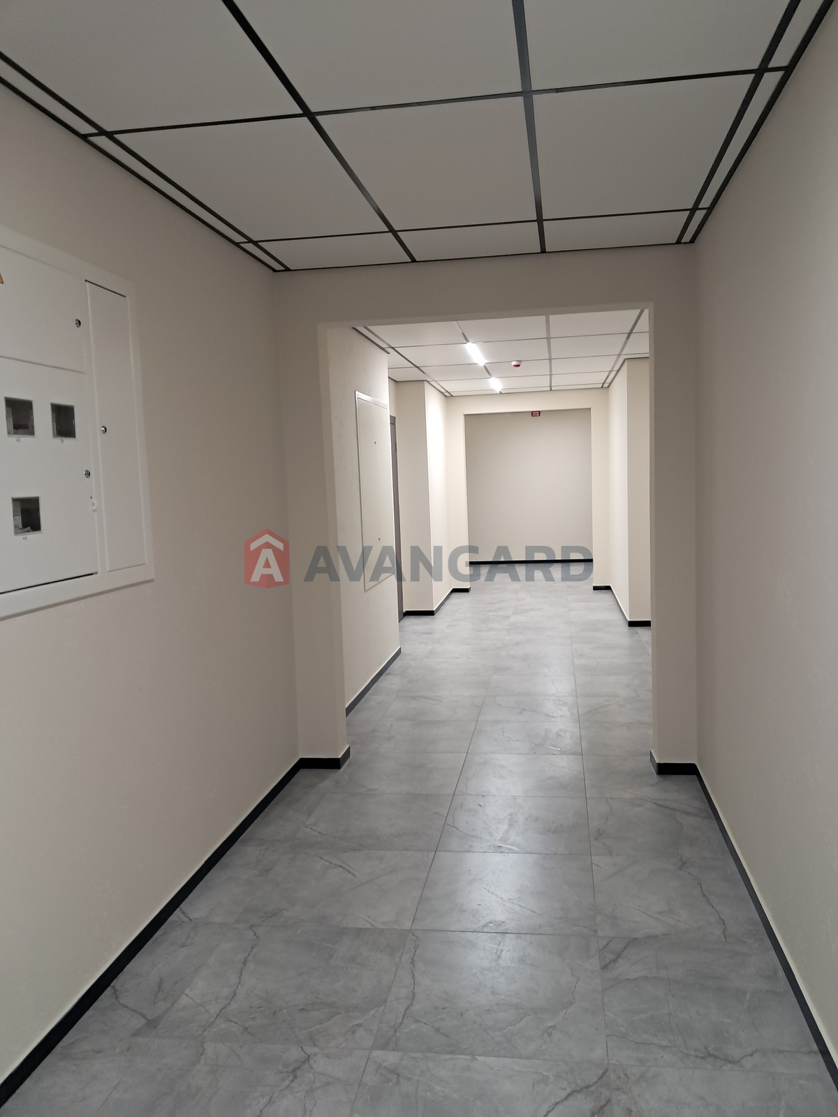 1 ����. ��������, 39.3/18/12 ��. �., 1/9 ���� ���� 8