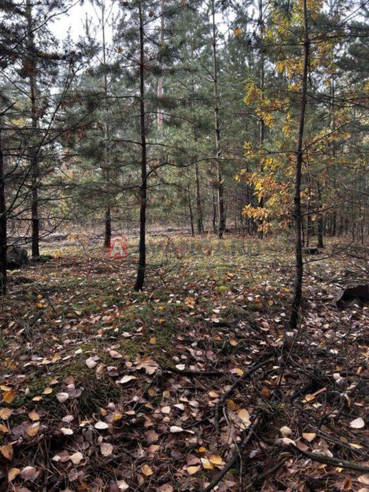 2 ��. ��������, 81/-/20 ��. �., 3/6 ������ ���� 22