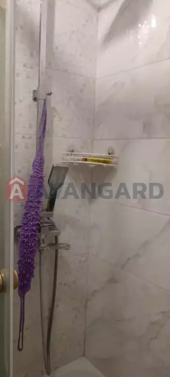 1 ����. ��������, 31/18/5 ��. �., 7/9 ���� ���� 7