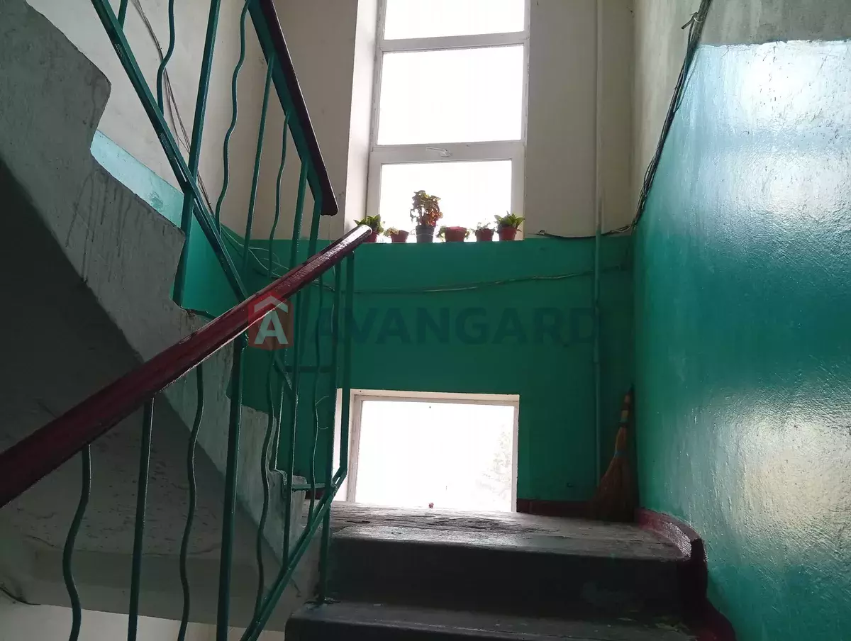 2 ��. ��������, 47/-/6 ��. �., 5/5 ������ ���� 12