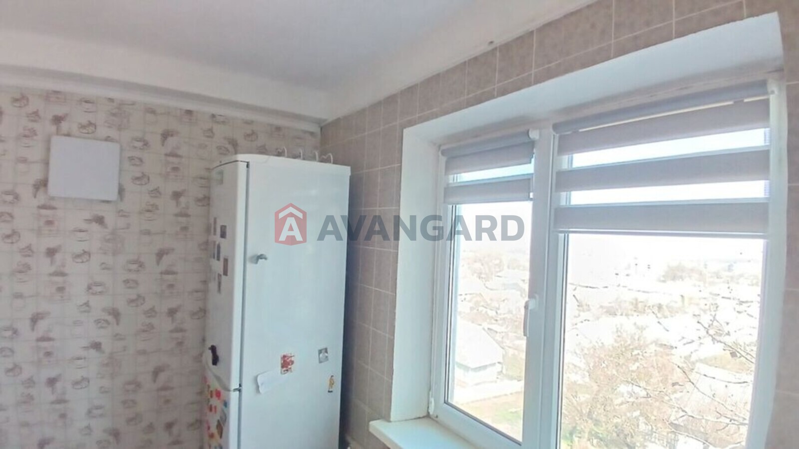 2 ��. ��������, 44/-/6 ��. �., 5/5 ������ ���� 1