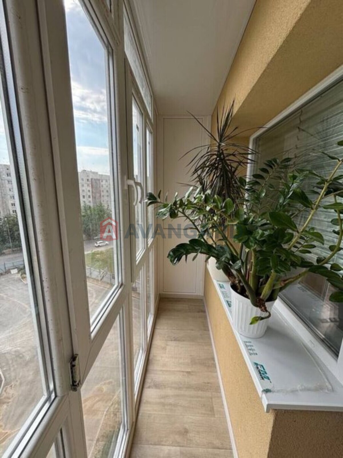 3 ����. ��������, 51/-/5 ��. �., 5/5 ���� ���� 8