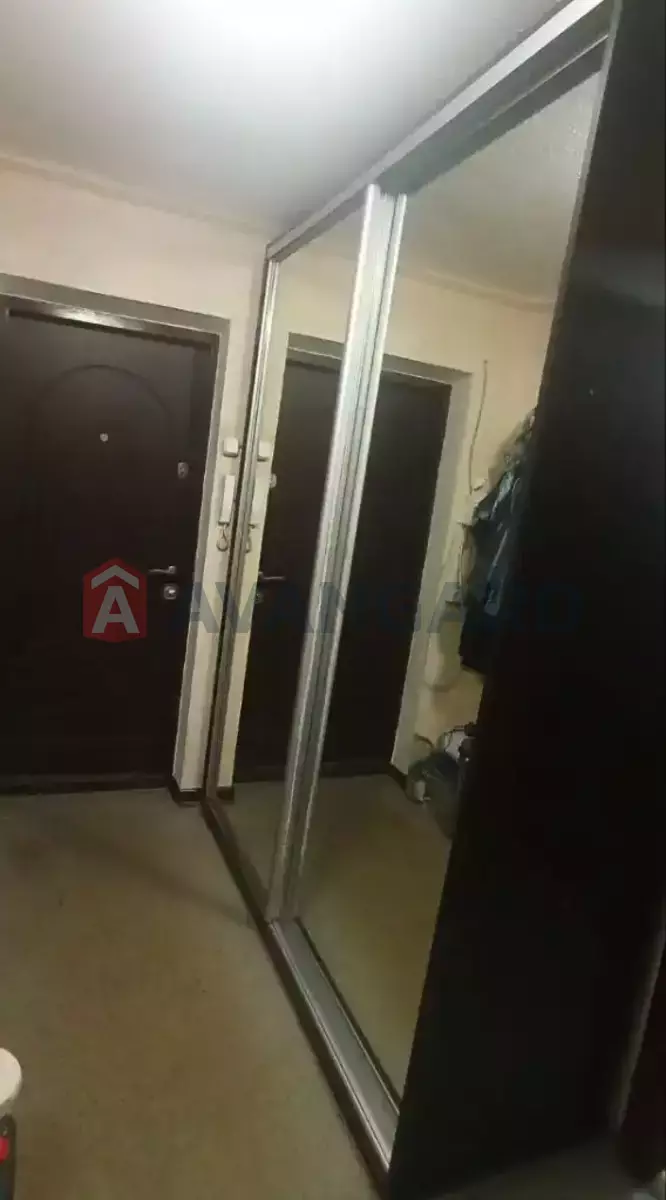 2 ����. ��������, 53/-/7 ��. �., 5/5 ���� ���� 13
