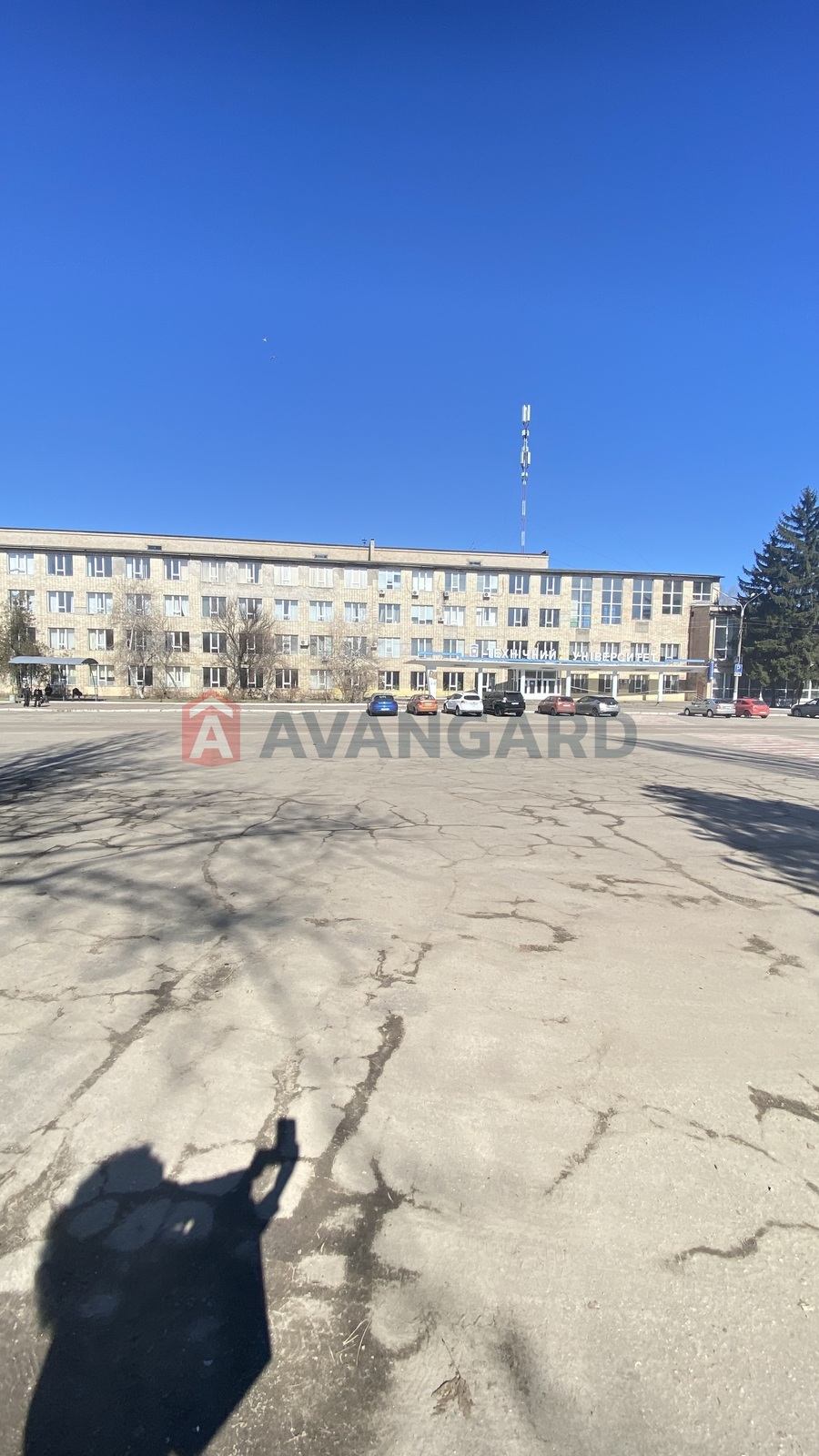 1 ��. ��������, 29/-/6 ��. �., 3/4 ������ ���� 22