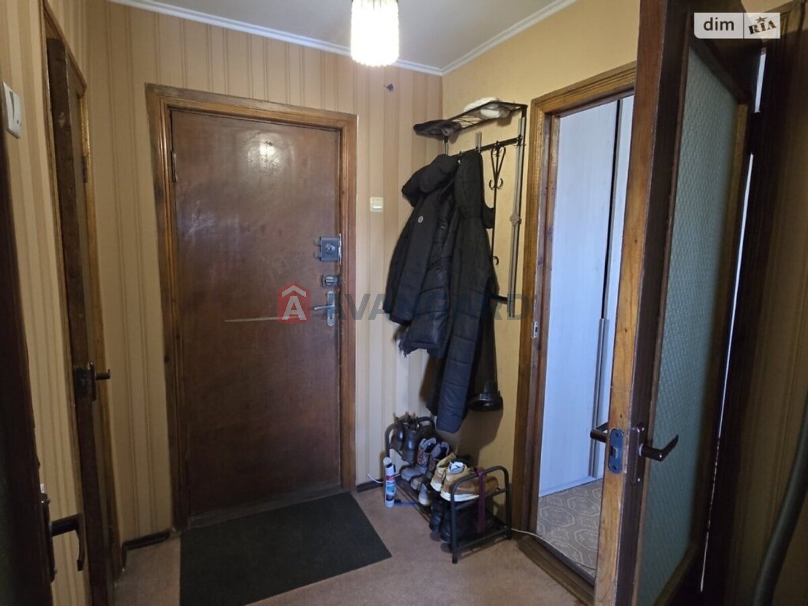 1 ��. ��������, 29/-/- ��. �., 5/10 ������ ���� 8