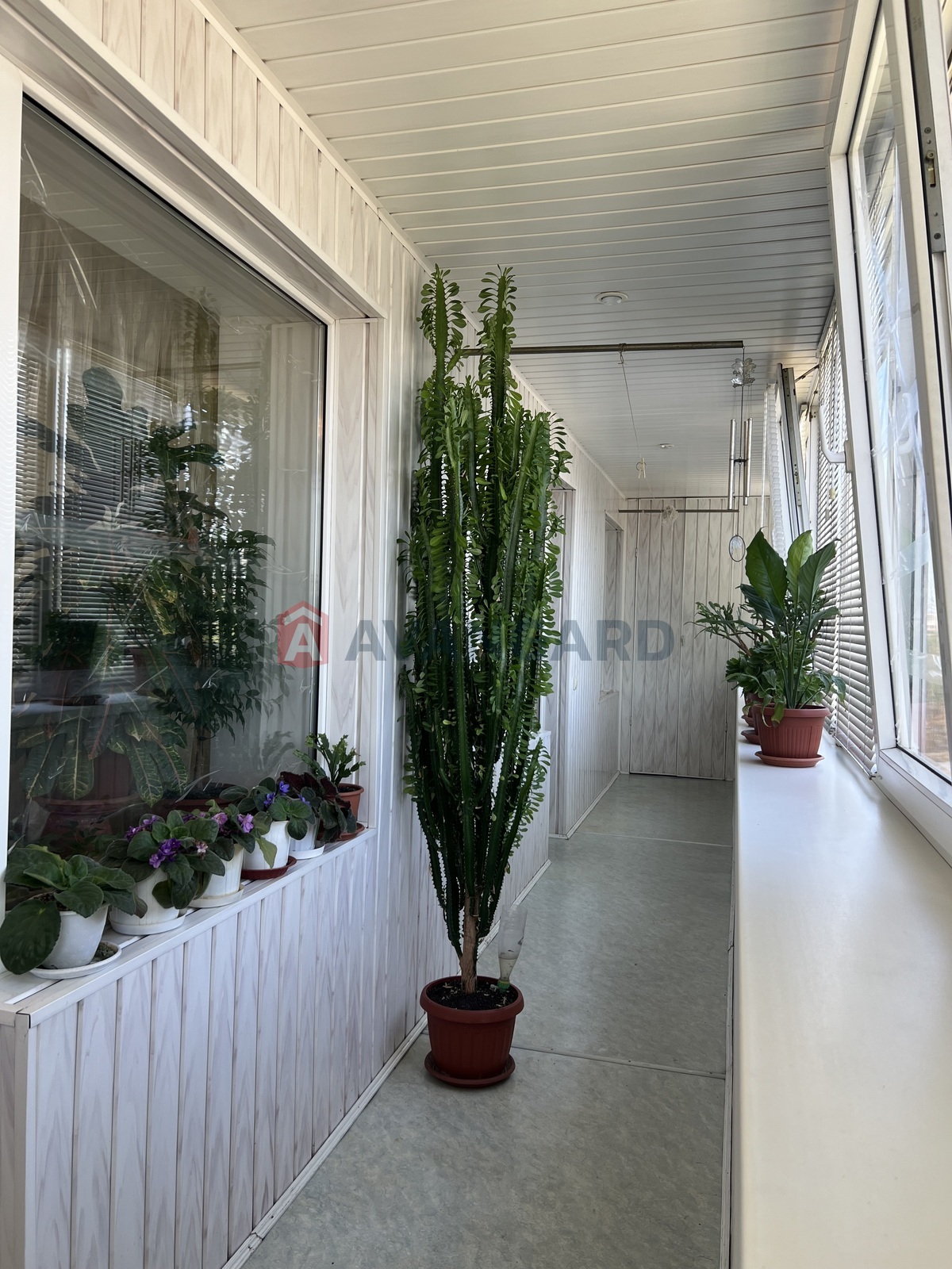 3 . , 102/66/14 . ., 9/9   17